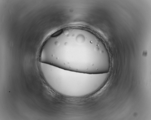 X0000102351405200808010925