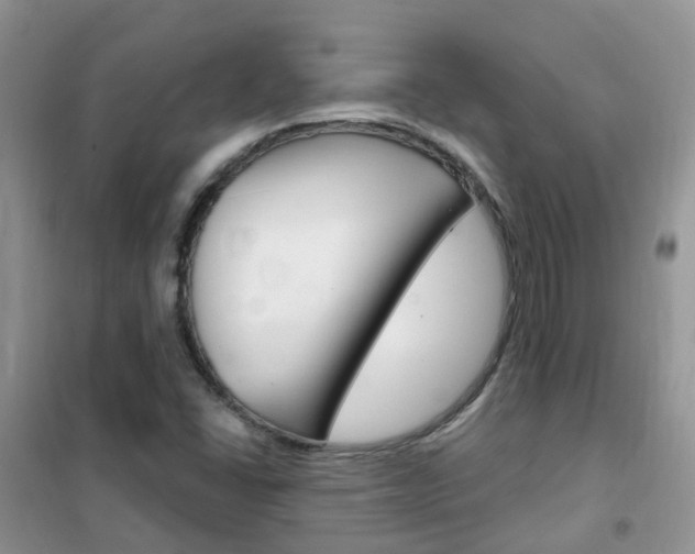 X0000102351406200808010925