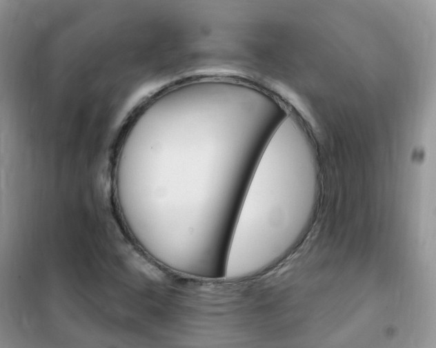 X0000102351408200808010925
