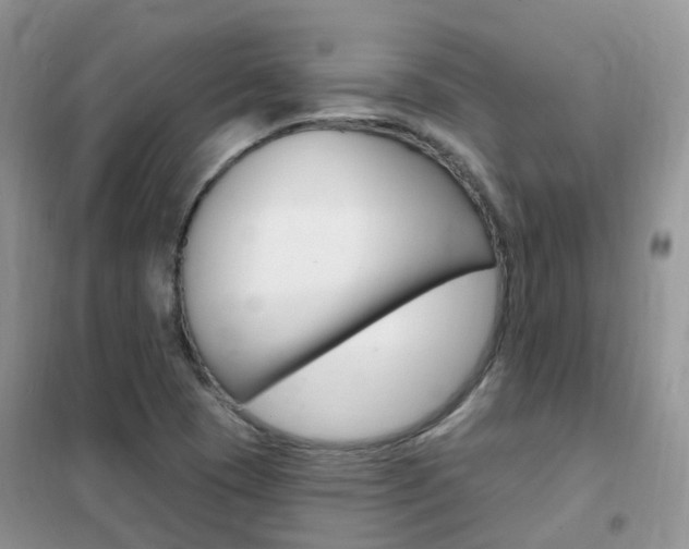 X0000102351409200808010925