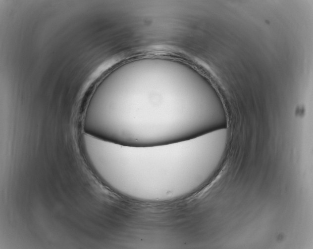 X0000102351410200808010925