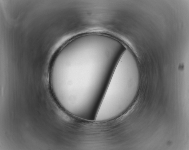 X0000102351414200808010925