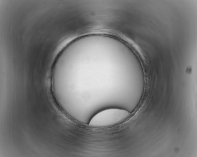 X0000102351415200808010925