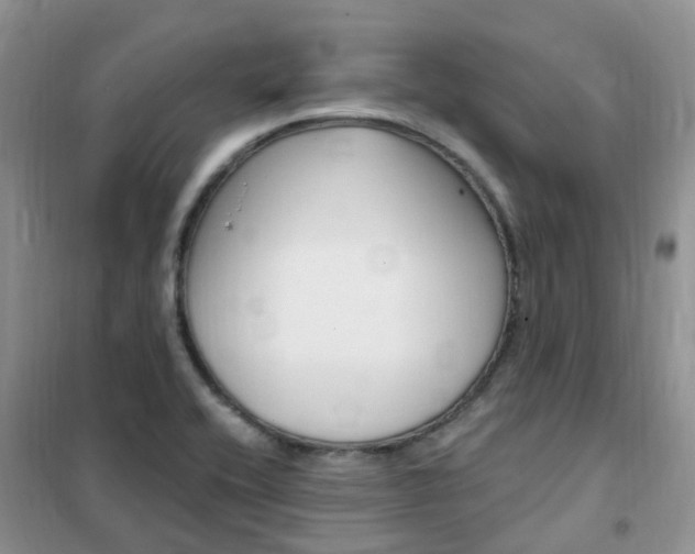 X0000102351416200808010925