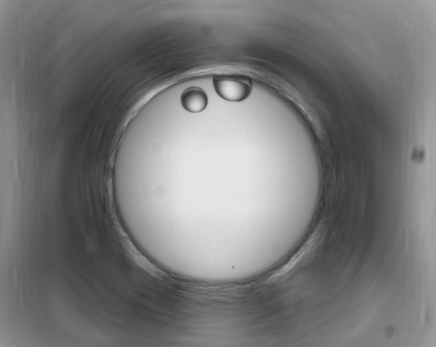 X0000102351417200808010925
