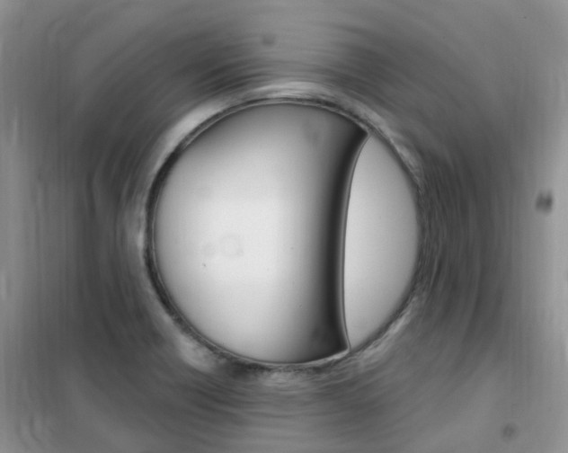 X0000102351418200808010925