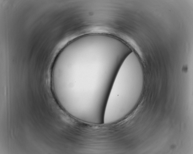 X0000102351419200808010925