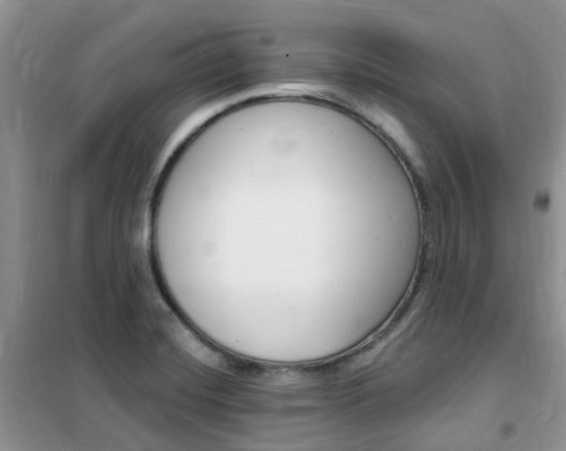 X0000102351420200808010925