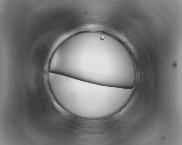 X0000102351421200808010925