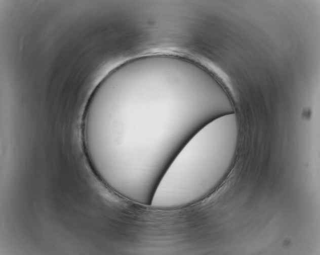 X0000102351423200808010925