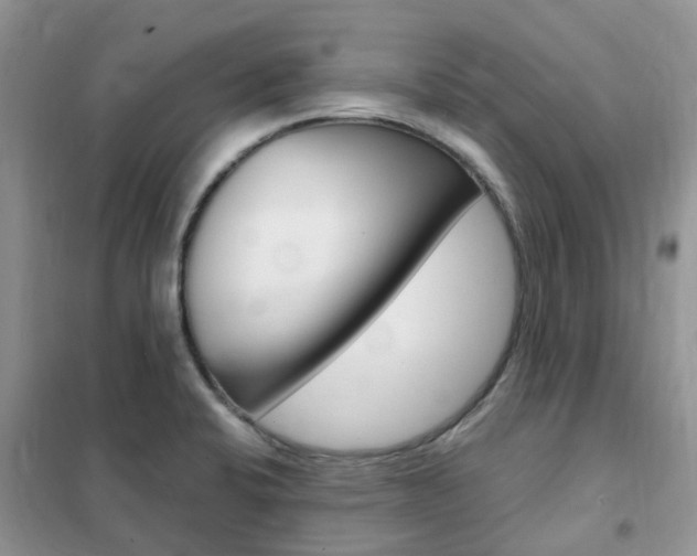 X0000102351424200808010925