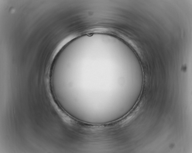 X0000102351426200808010926