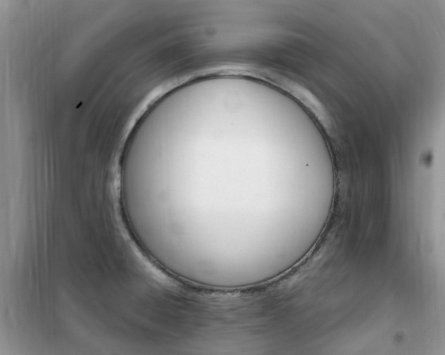 X0000102351428200808010926