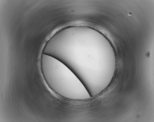 X0000102351429200808010926