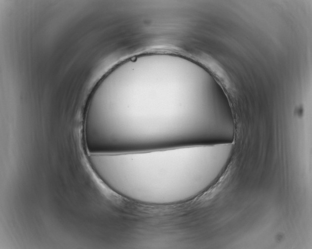X0000102351430200808010926