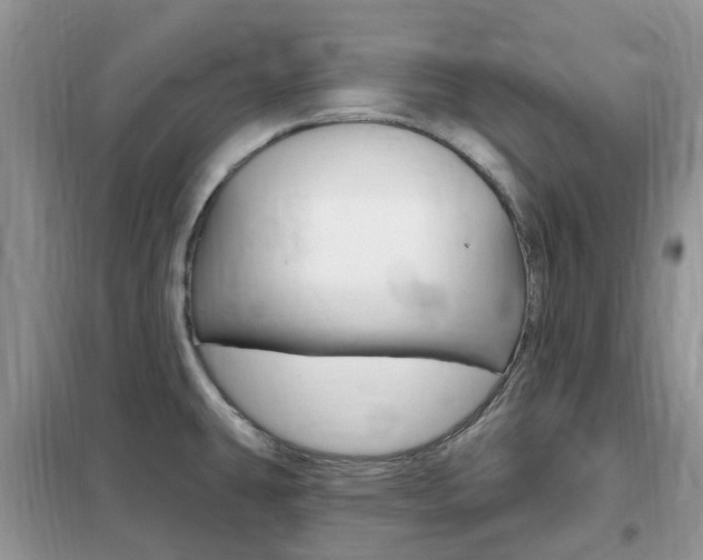 X0000102351431200808010926