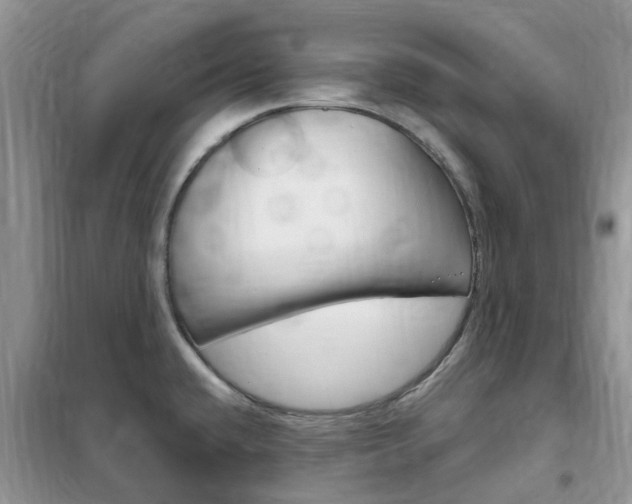 X0000102351432200808010926