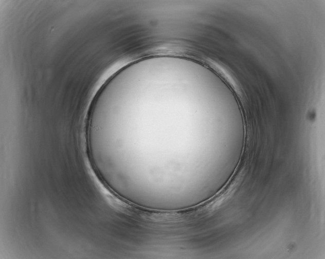 X0000102351434200808010926