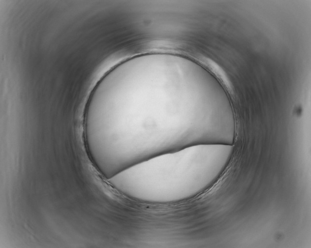 X0000102351435200808010926