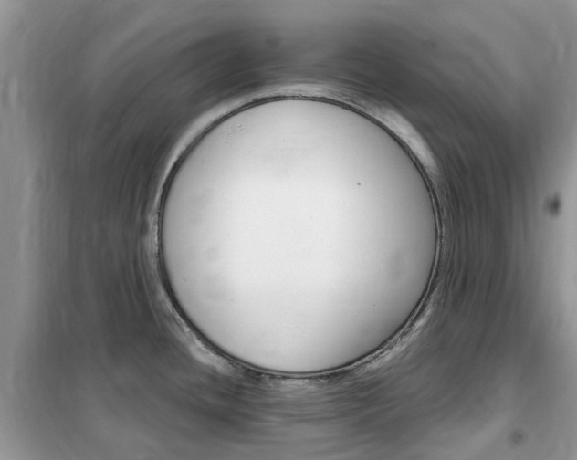X0000102351436200808010926