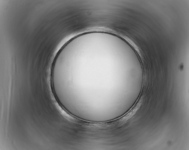 X0000102351438200808010926