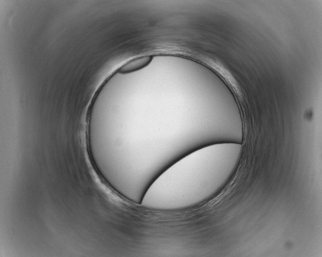 X0000102351439200808010926