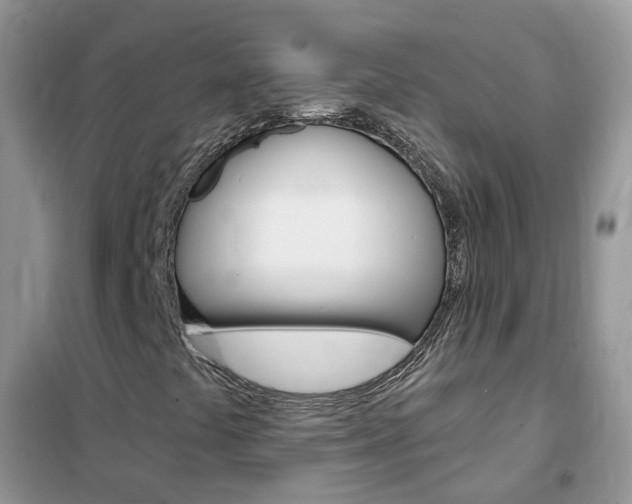 X0000102351441200808010925