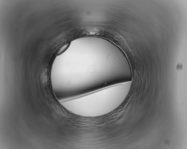 X0000102351442200808010925