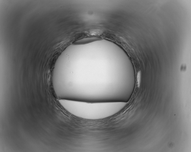 X0000102351443200808010925