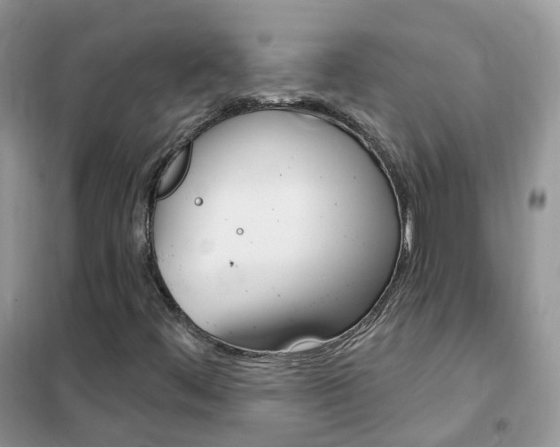 X0000102351444200808010925