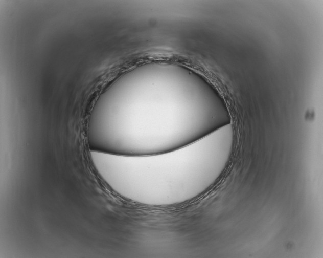 X0000102351445200808010925