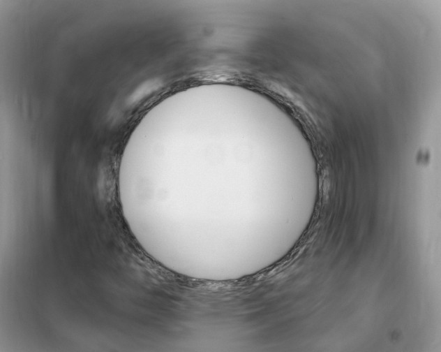 X0000102351446200808010925
