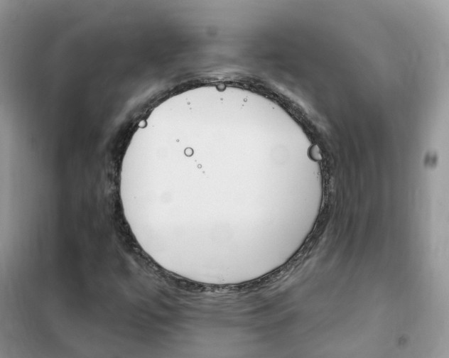 X0000102351447200808010925