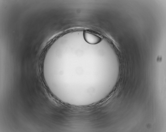 X0000102351448200808010925