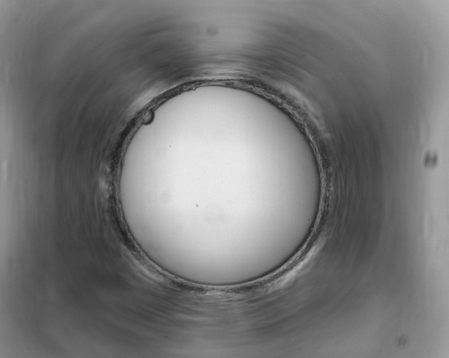 X0000102351449200808010925