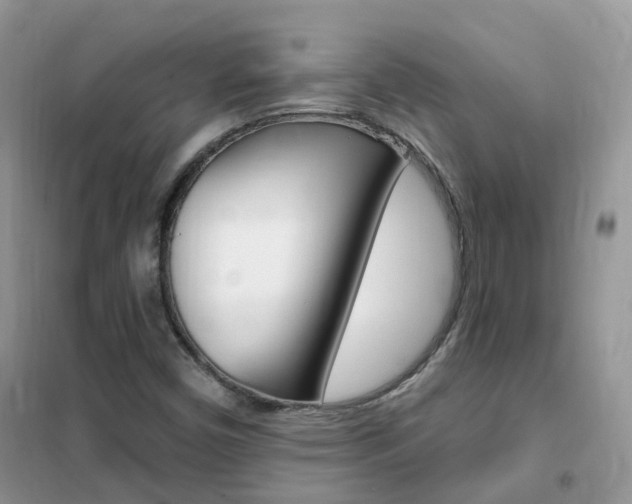 X0000102351450200808010925