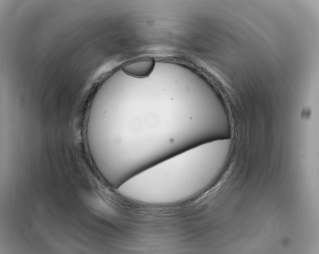 X0000102351451200808010925