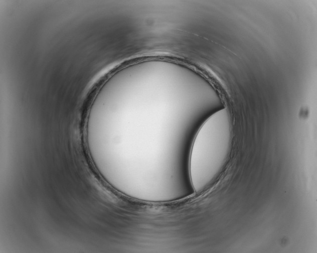X0000102351452200808010925