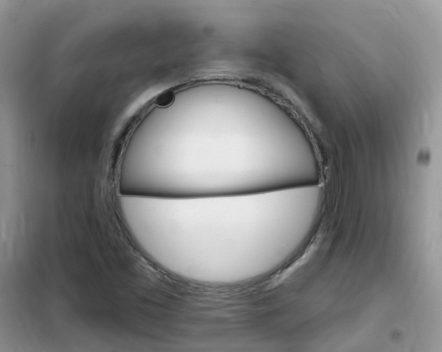 X0000102351453200808010925