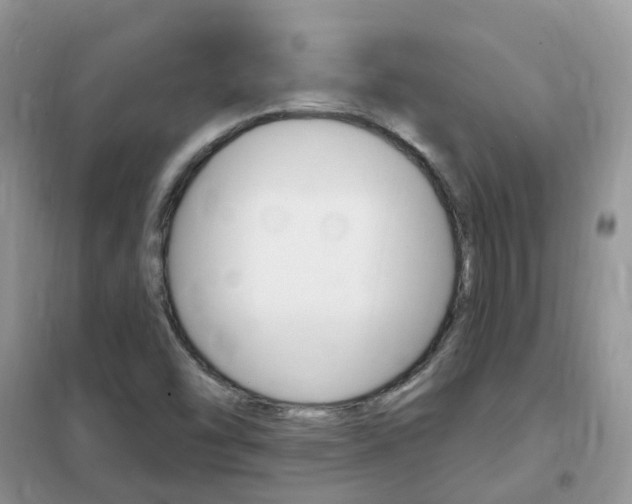 X0000102351454200808010925