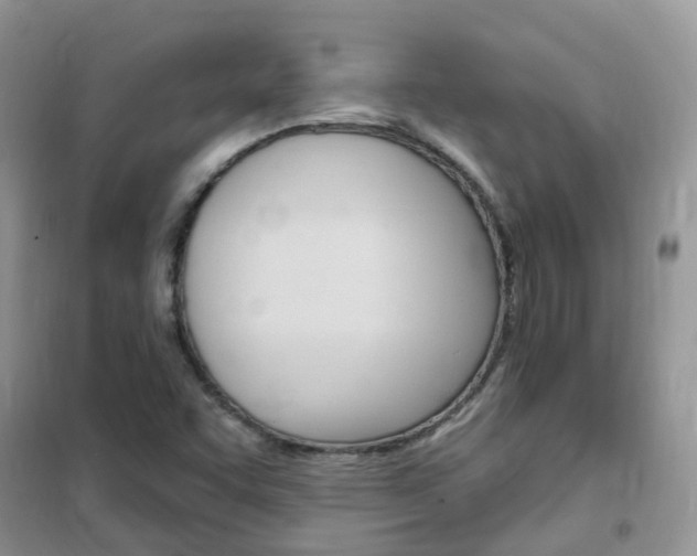 X0000102351455200808010925