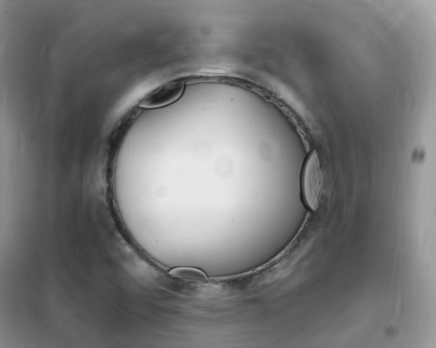 X0000102351456200808010925