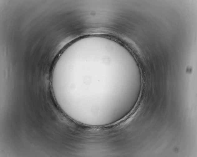 X0000102351457200808010925