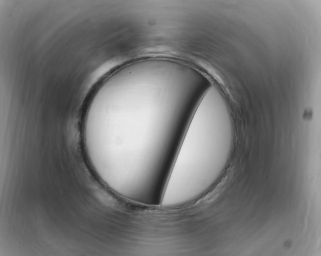 X0000102351458200808010925