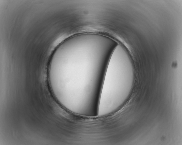 X0000102351459200808010925