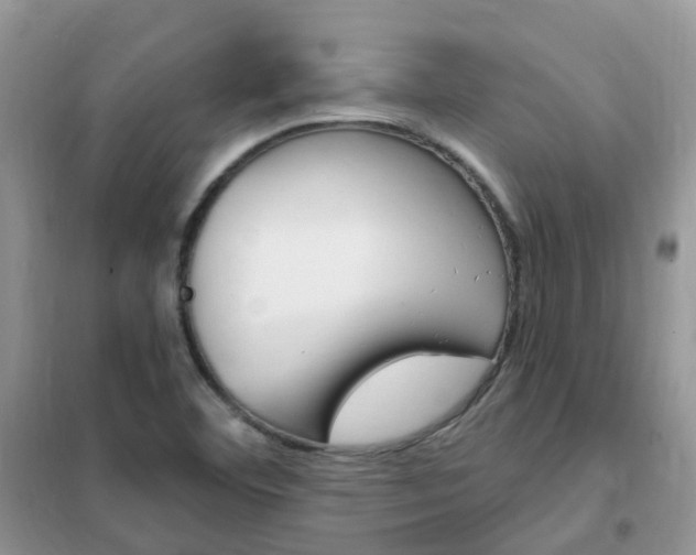 X0000102351460200808010925