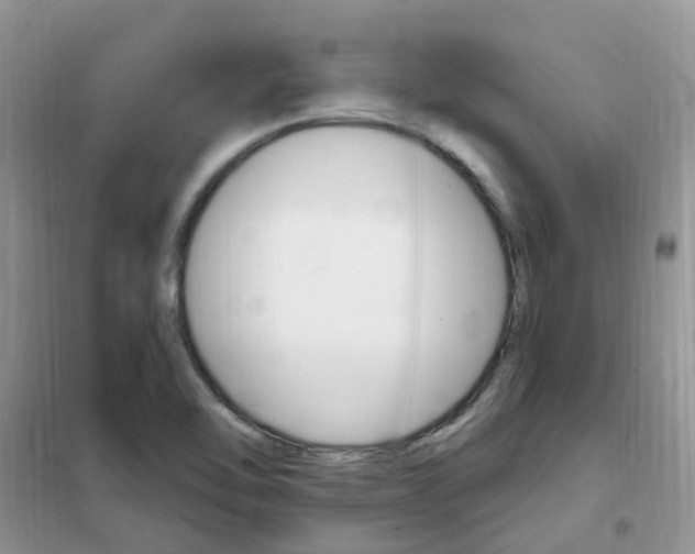 X0000102351462200808010925