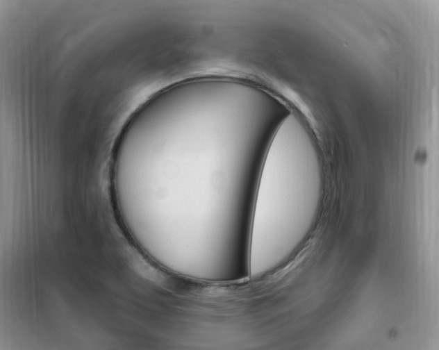 X0000102351463200808010925