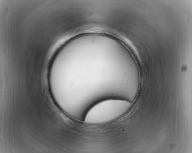 X0000102351464200808010925