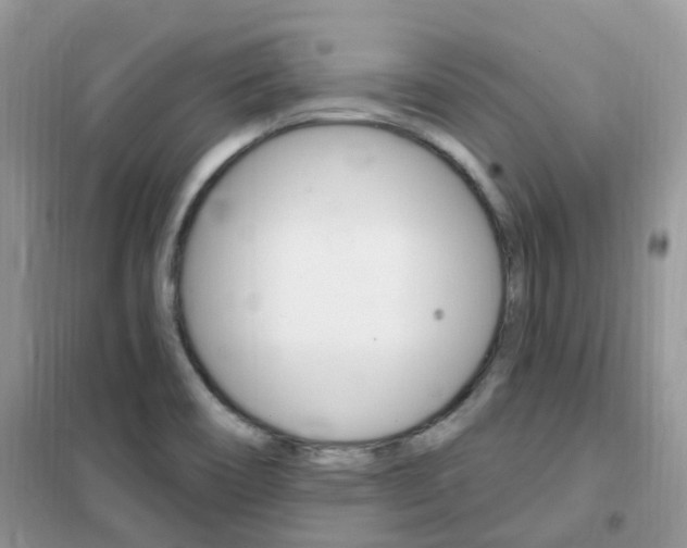 X0000102351466200808010925